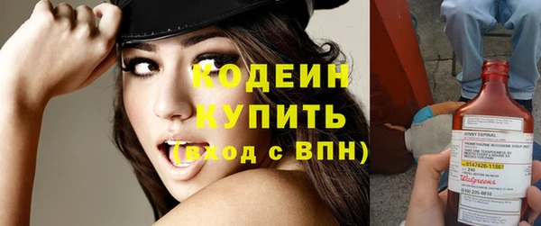 индика Елизово