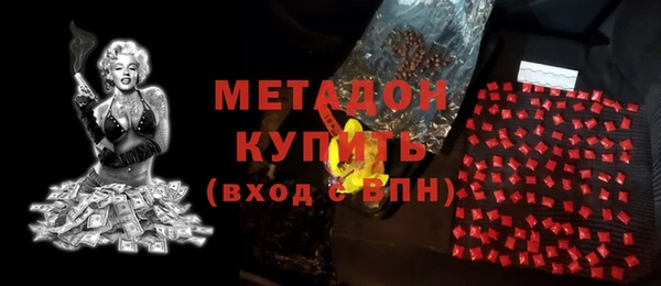 индика Елизово