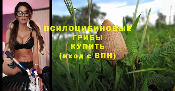 стафф Заволжск