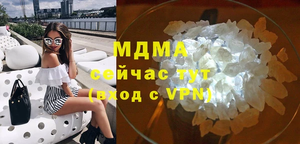 индика Елизово