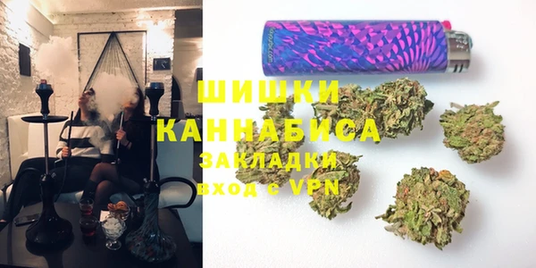 индика Елизово