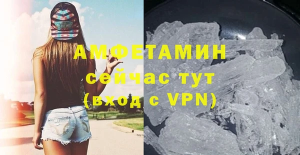 индика Елизово
