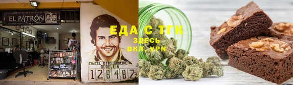 индика Елизово
