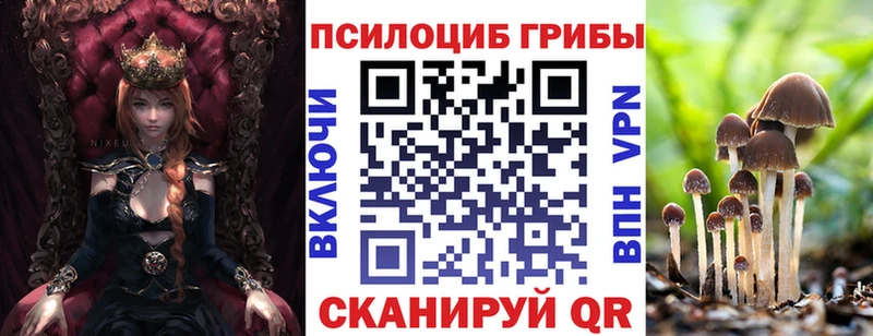 Псилоцибиновые грибы прущие грибы  Купить  Палласовка 
